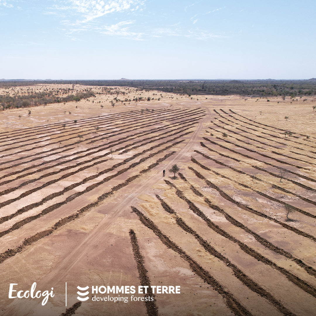 Look how much you've helped us grow! (and we don't mean followers)