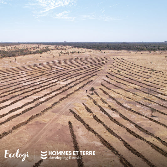 Look how much you've helped us grow! (and we don't mean followers)