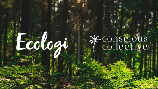 Giving Back: Partnering With Ecologi