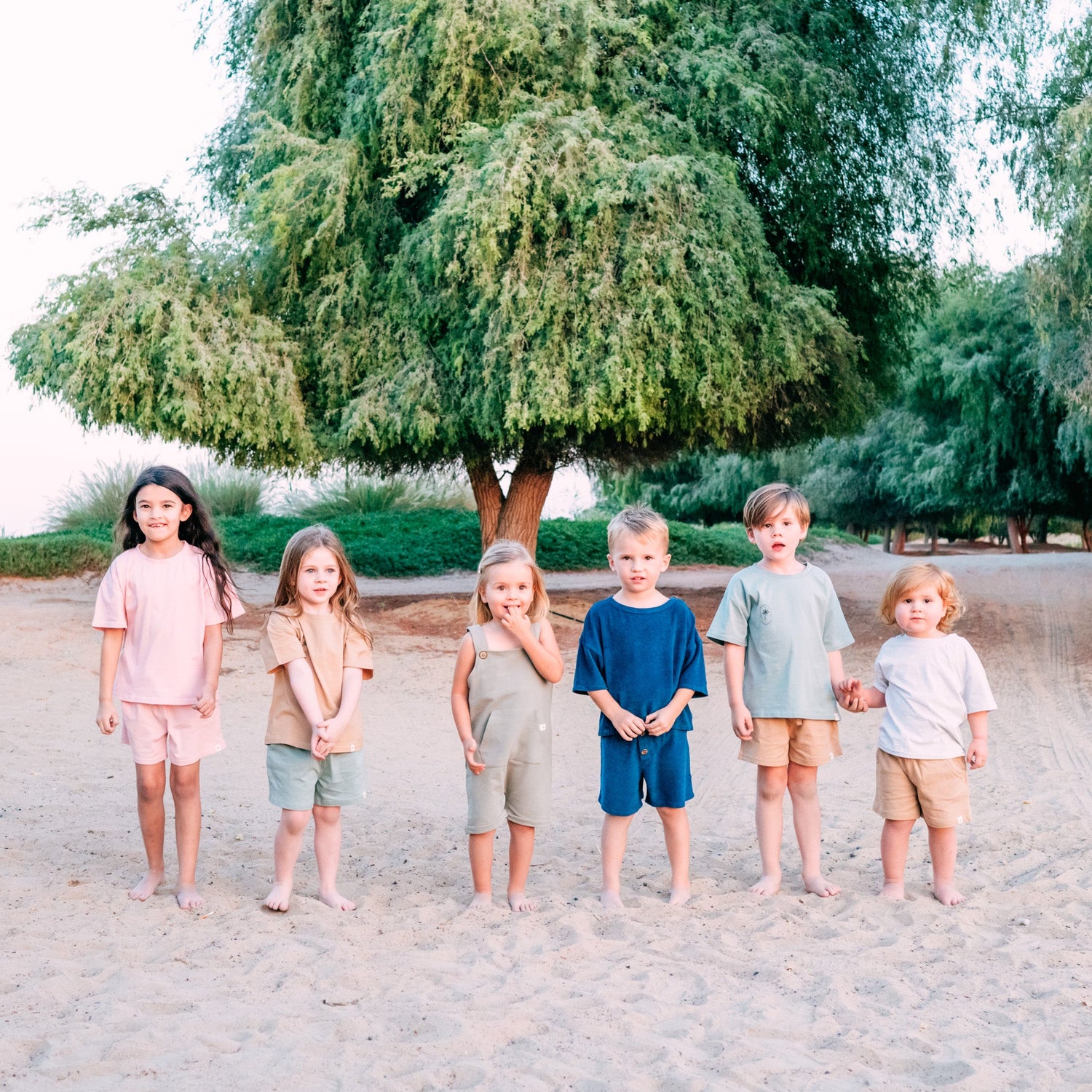 Conscious Collective