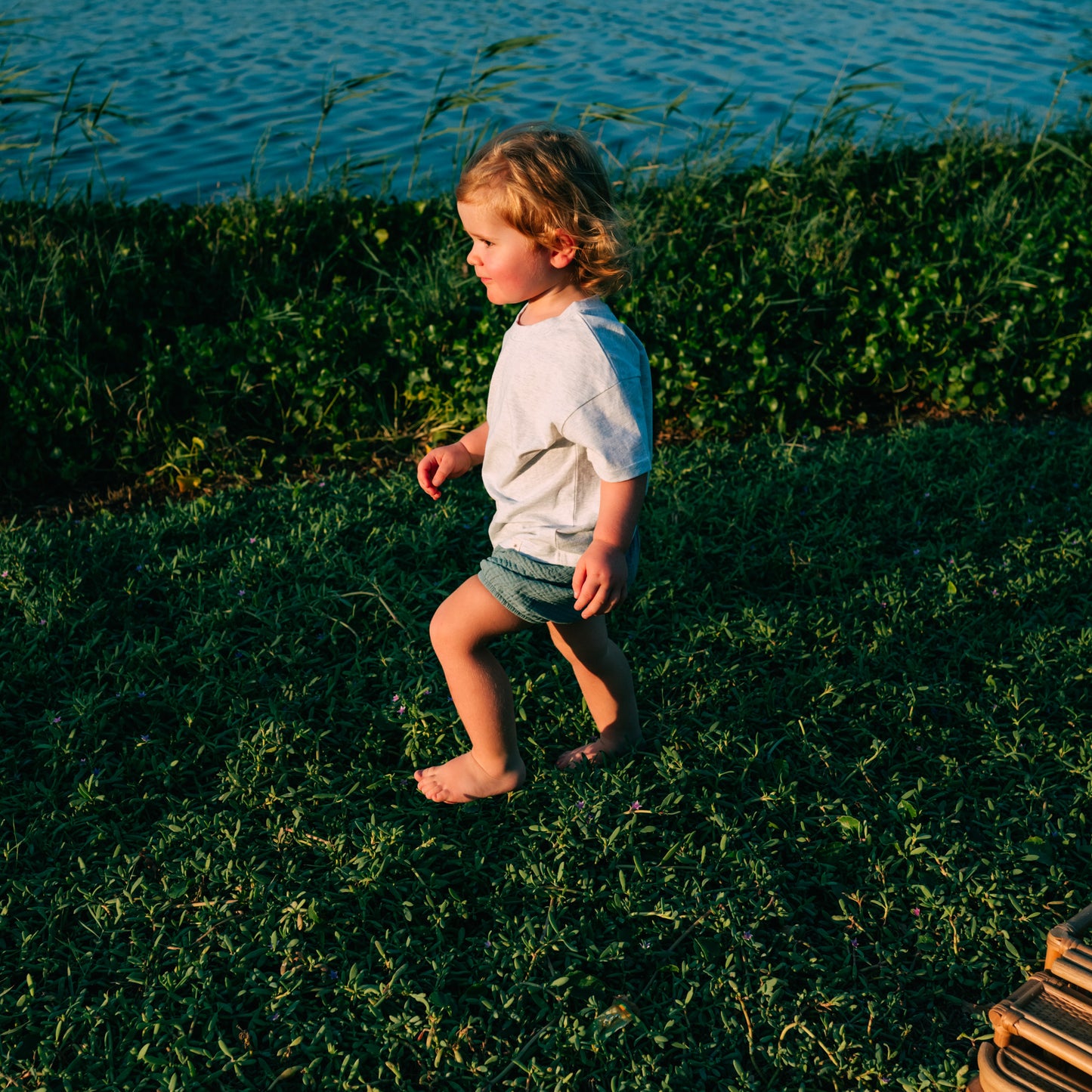 Taylor Unisex Organic Cotton Bloomer Shorts